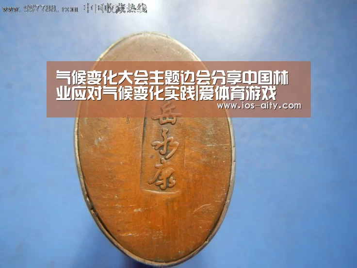 爱体育娱乐